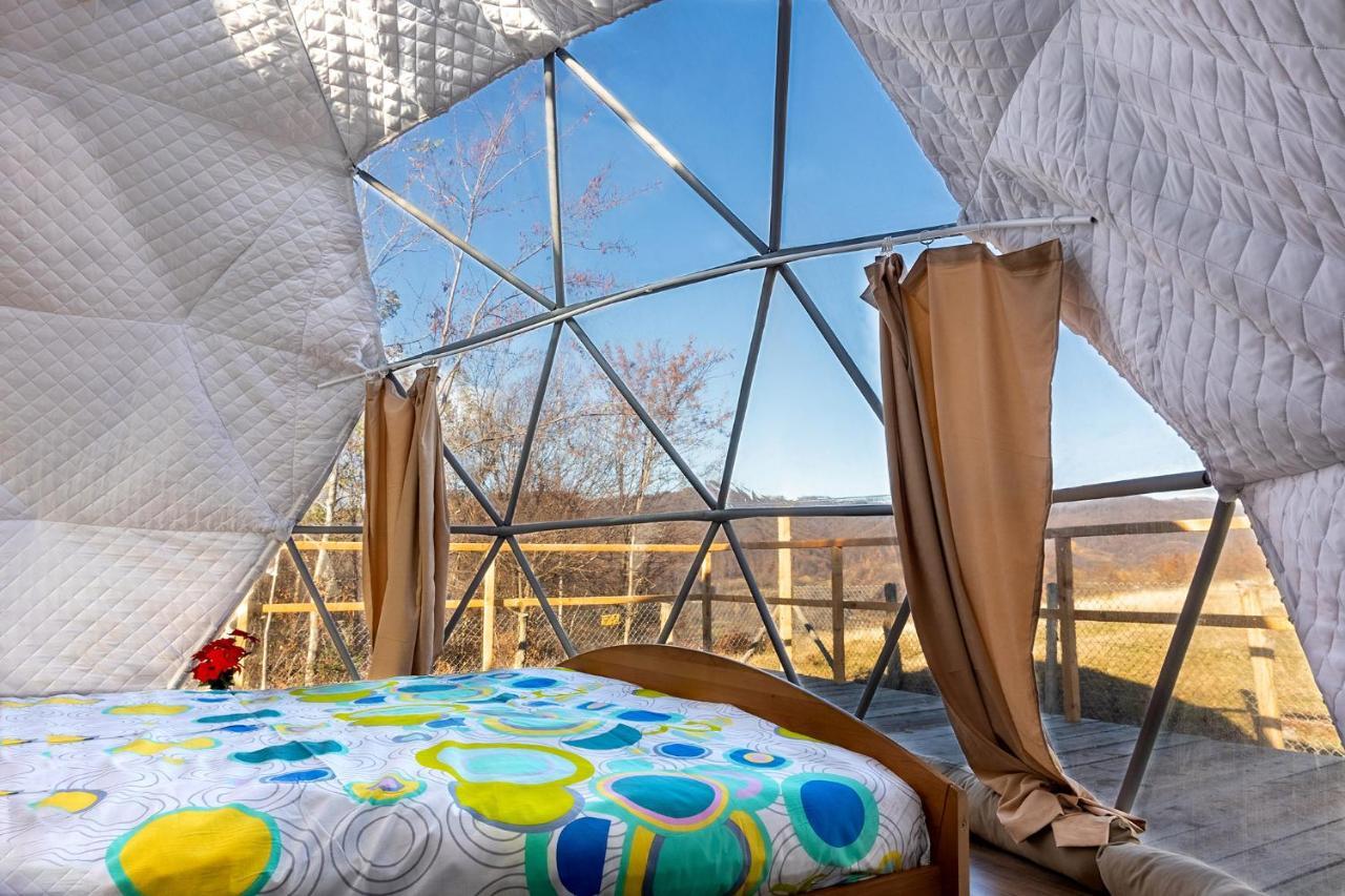 Varatici Brancoveanu Glamping מראה חיצוני תמונה